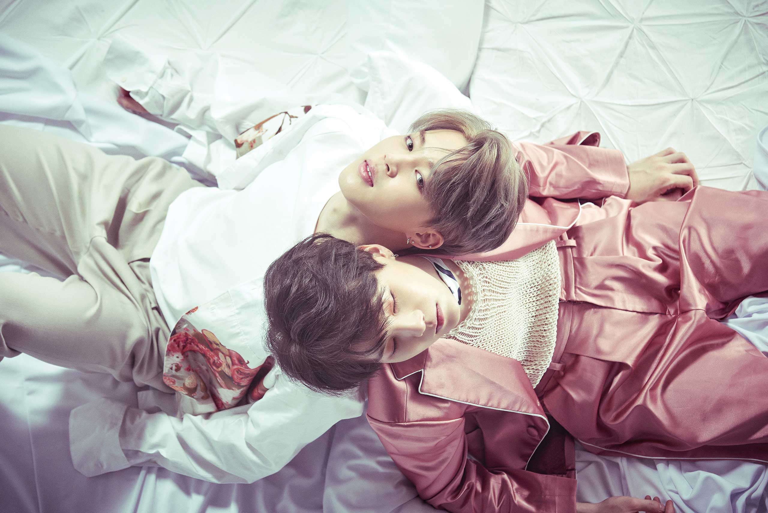 2560x1709 WINGS