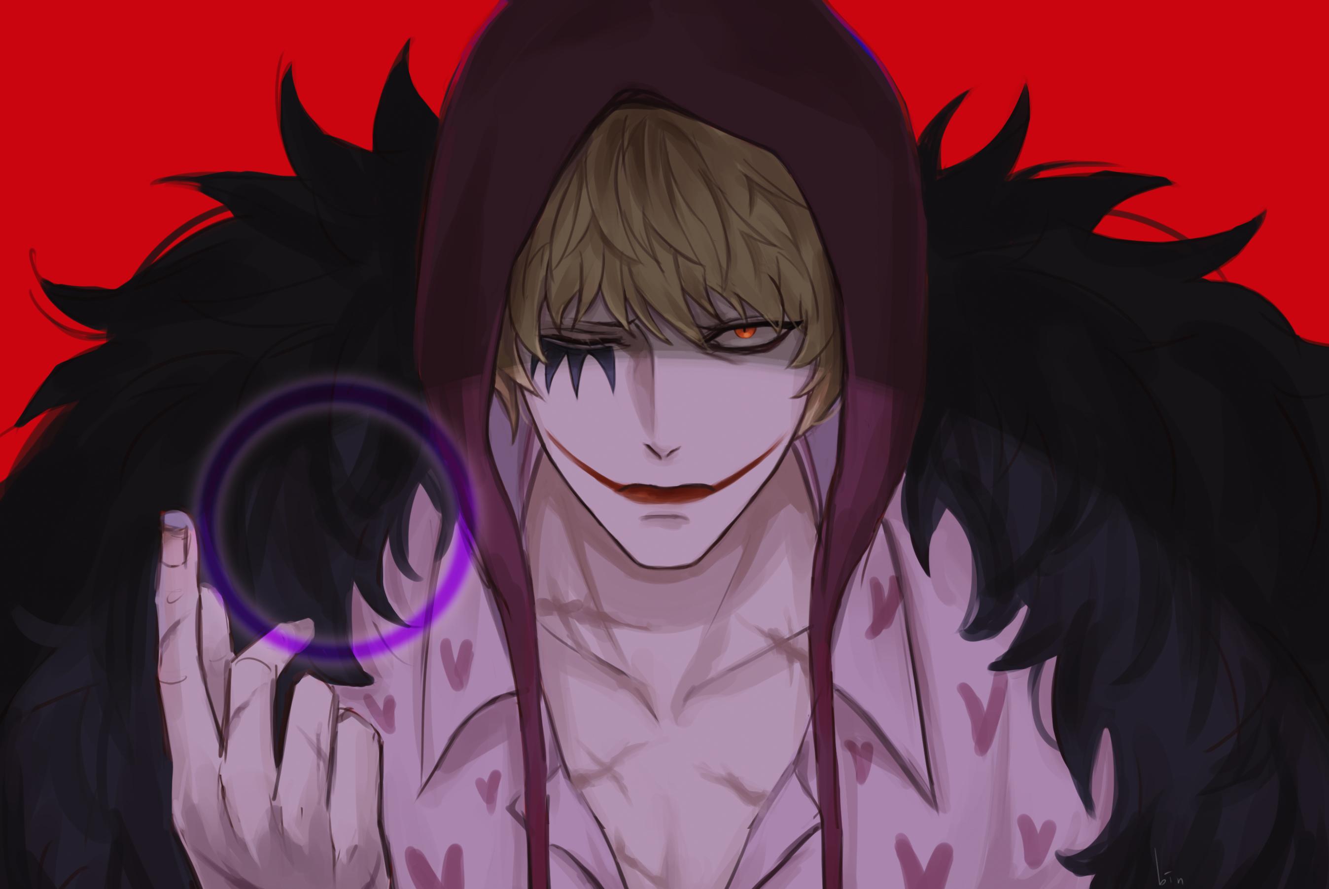 2696x1803 Donquixote Corazon HD Wallpaper and Background