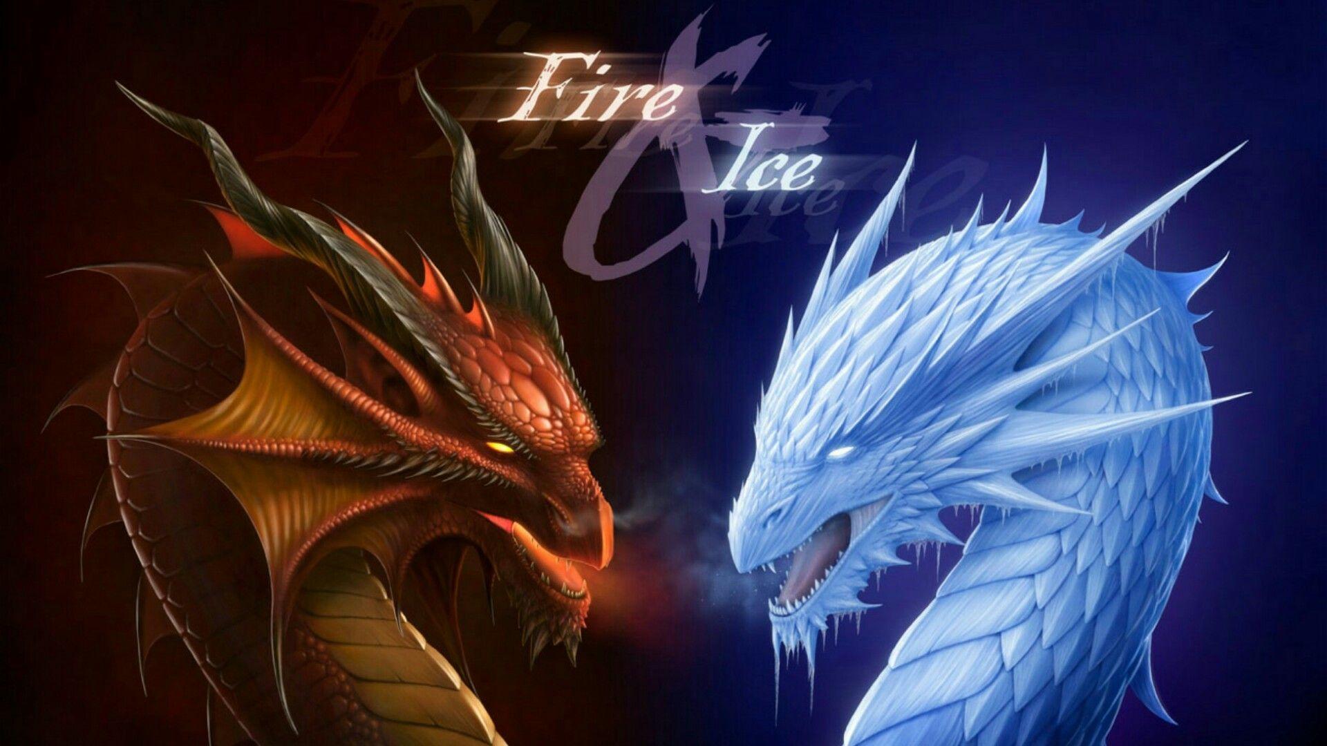 1920x1080 Beautiful Dragon Wallpaper