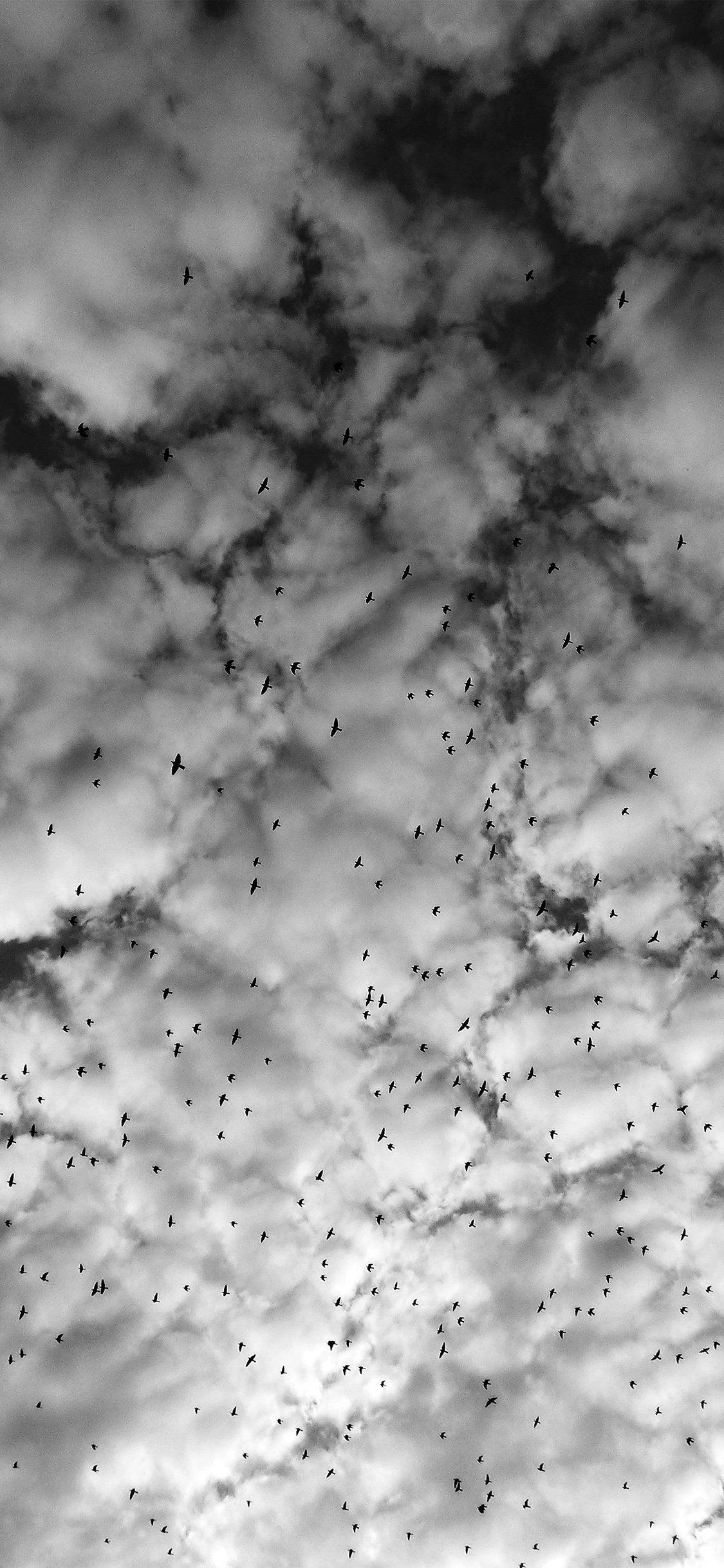 1125x2436 Sky Cloud Birds iPhone X. Gaming Desktop Wallpaper. Wallpaper