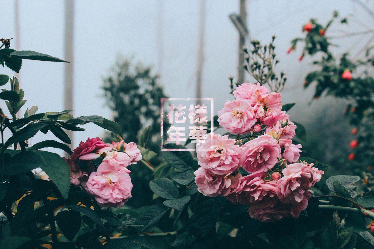 1200x800 Bts Aesthetic Wings Desktop Wallpaper