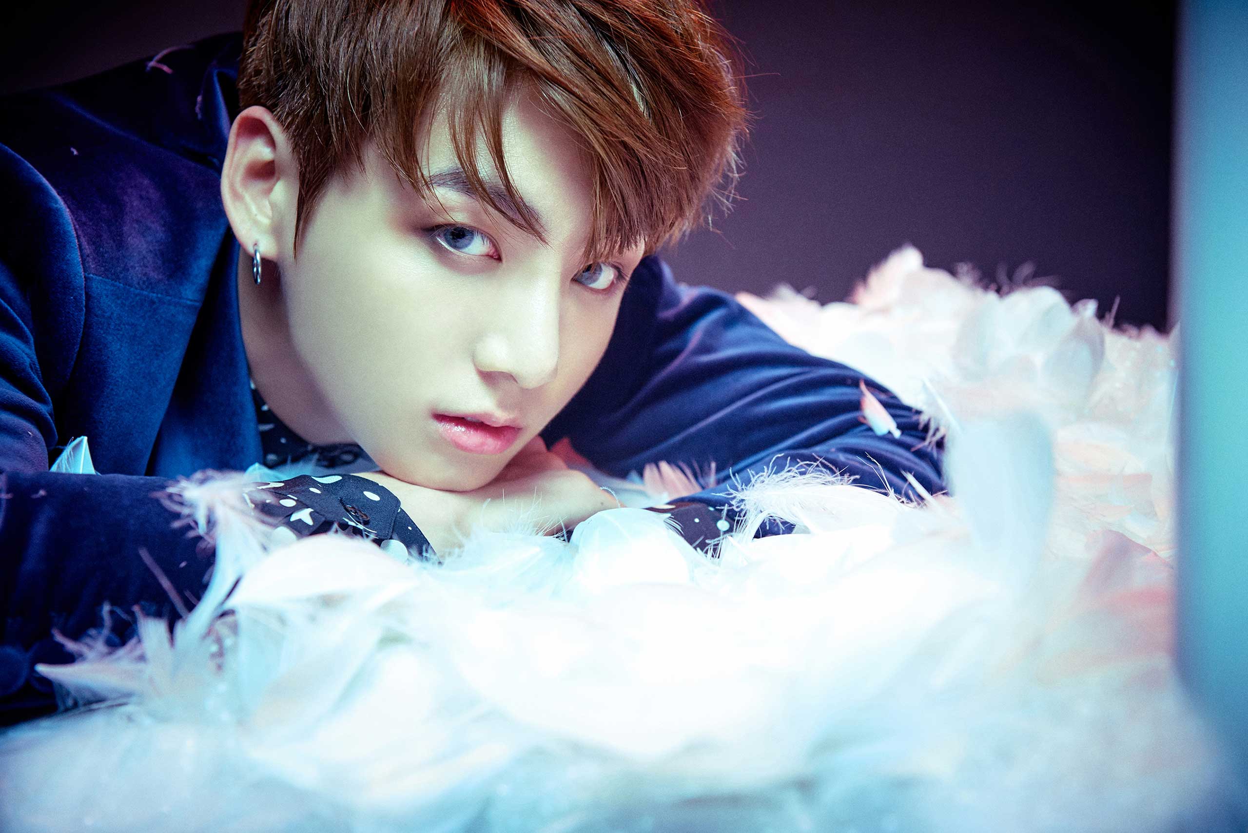 2560x1709 WINGS
