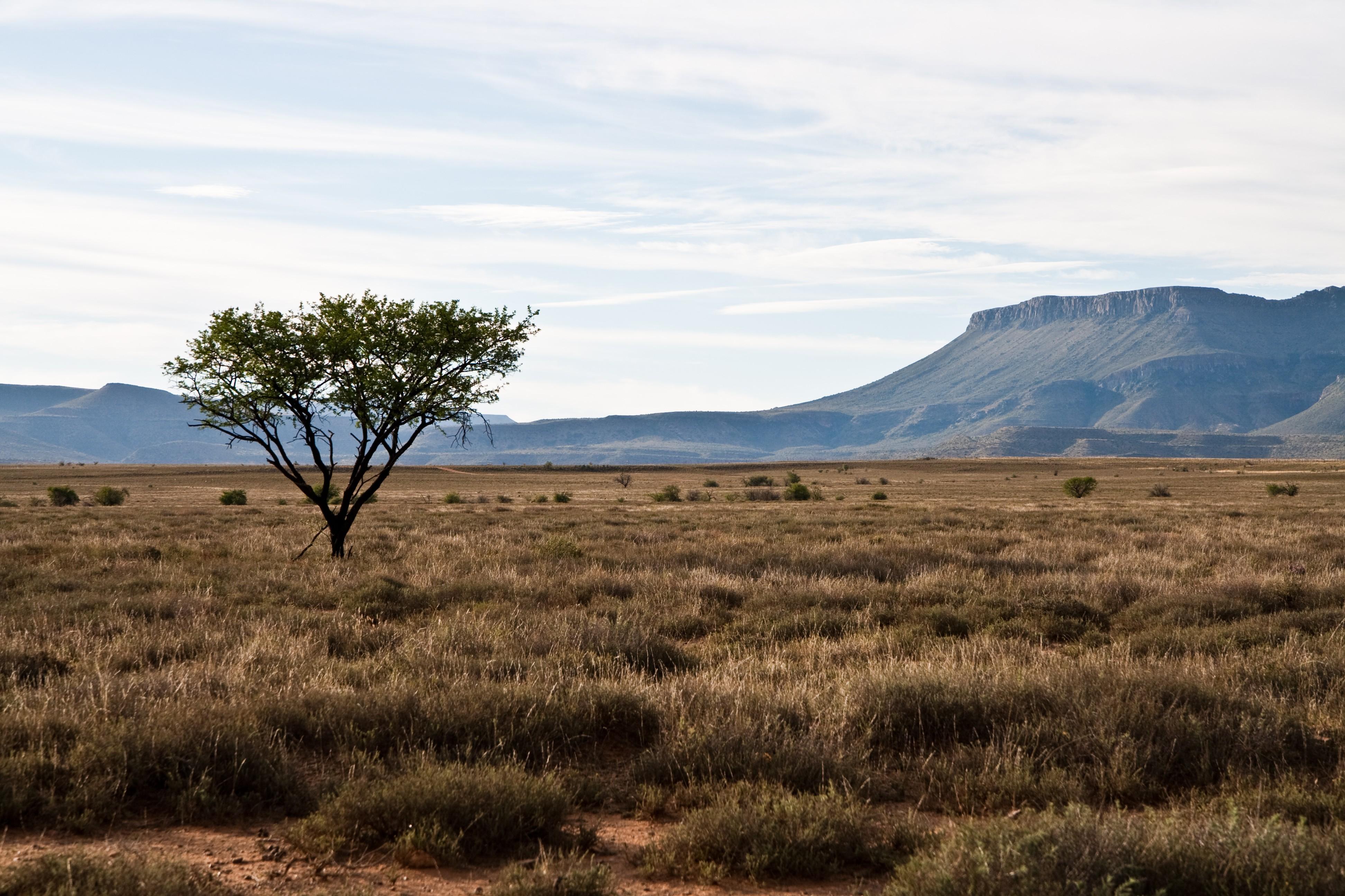 3888x2592 African Landscape Wallpaper 03 - [3888x2592]