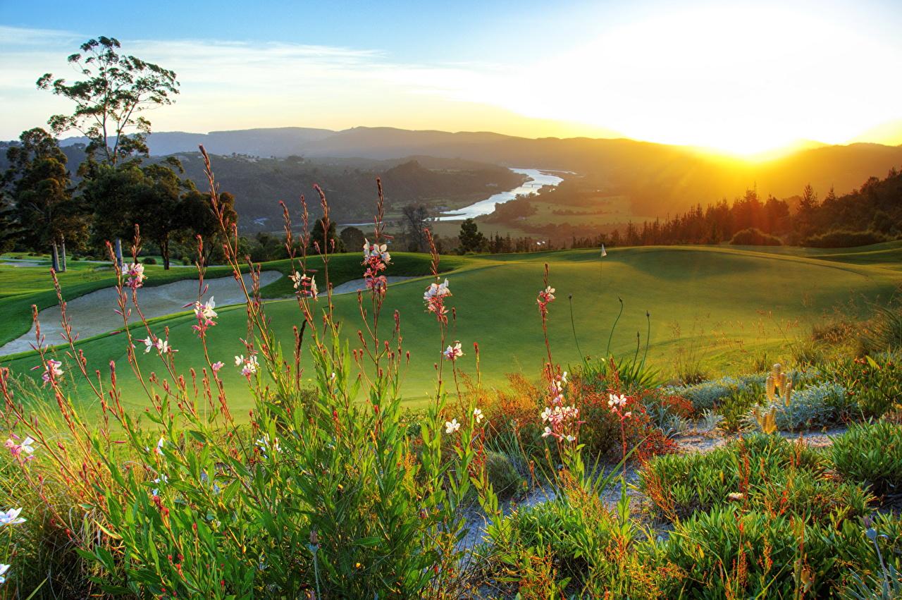 1280x851 Photos South Africa Nature Fields Scenery Lawn