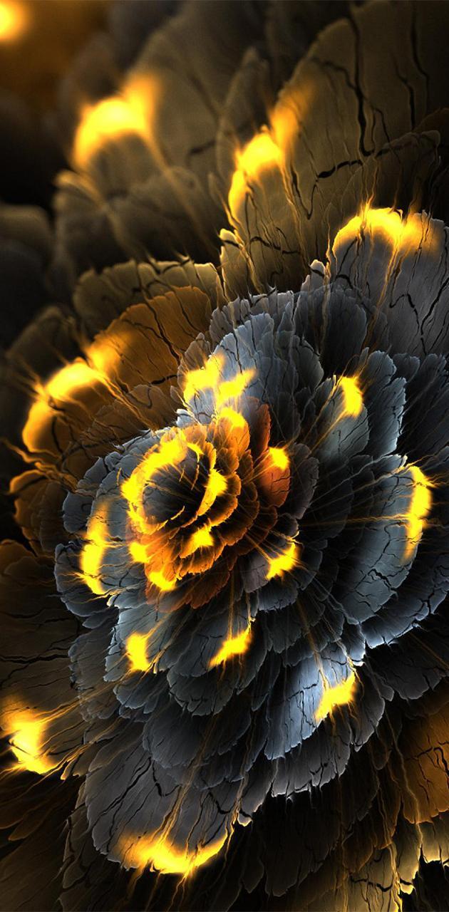 Black and Yellow Flower Wallpapers Top Free Black and Yellow Flower