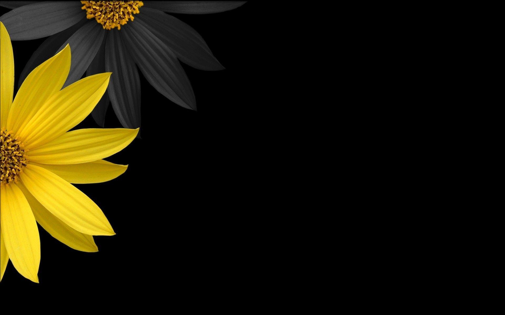 1920x1200 Yellow Flower HD Wallpaper