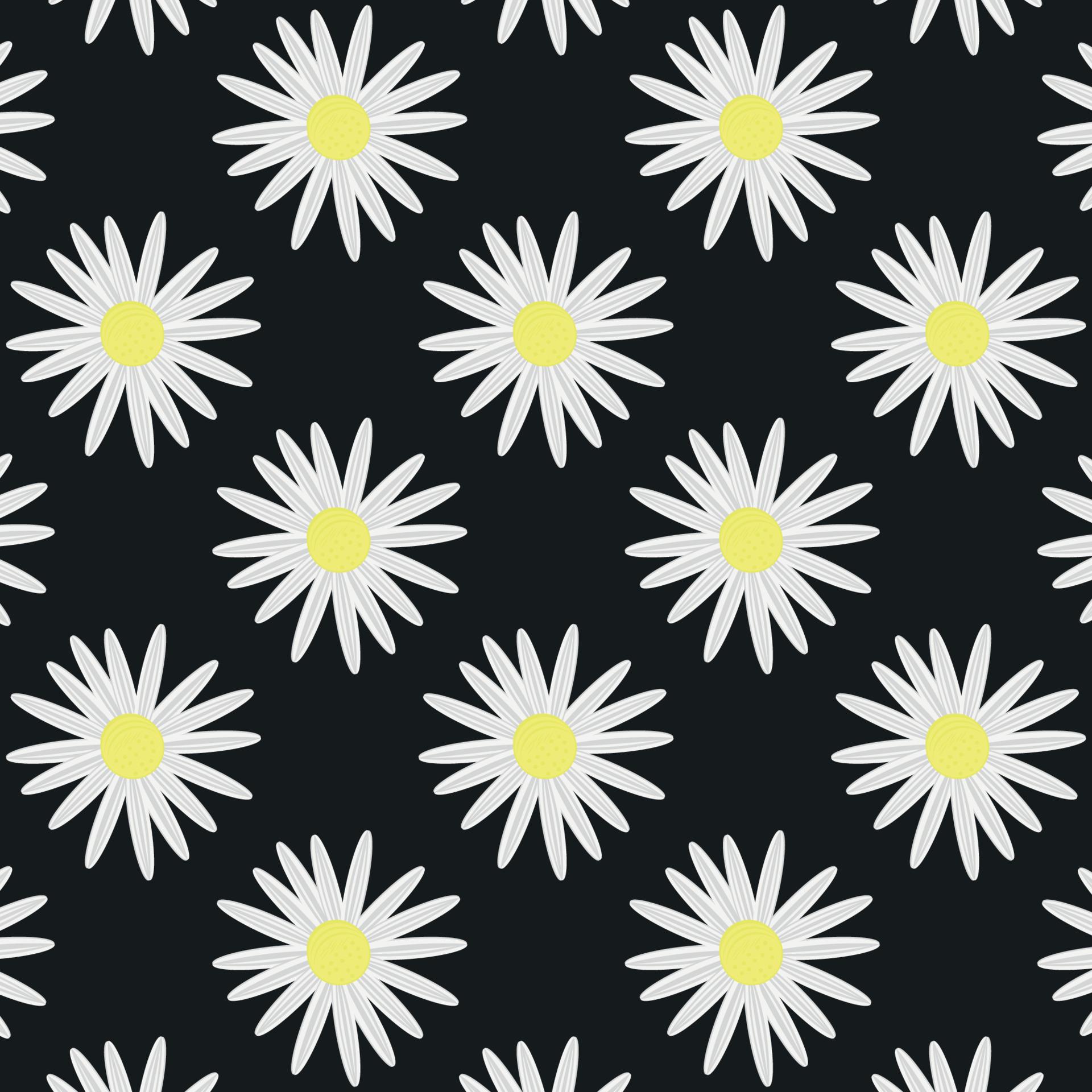 1920x1920 beautiful daisy white flower blossom botanical floral seamless pattern nature black background wallpaper vector illustration