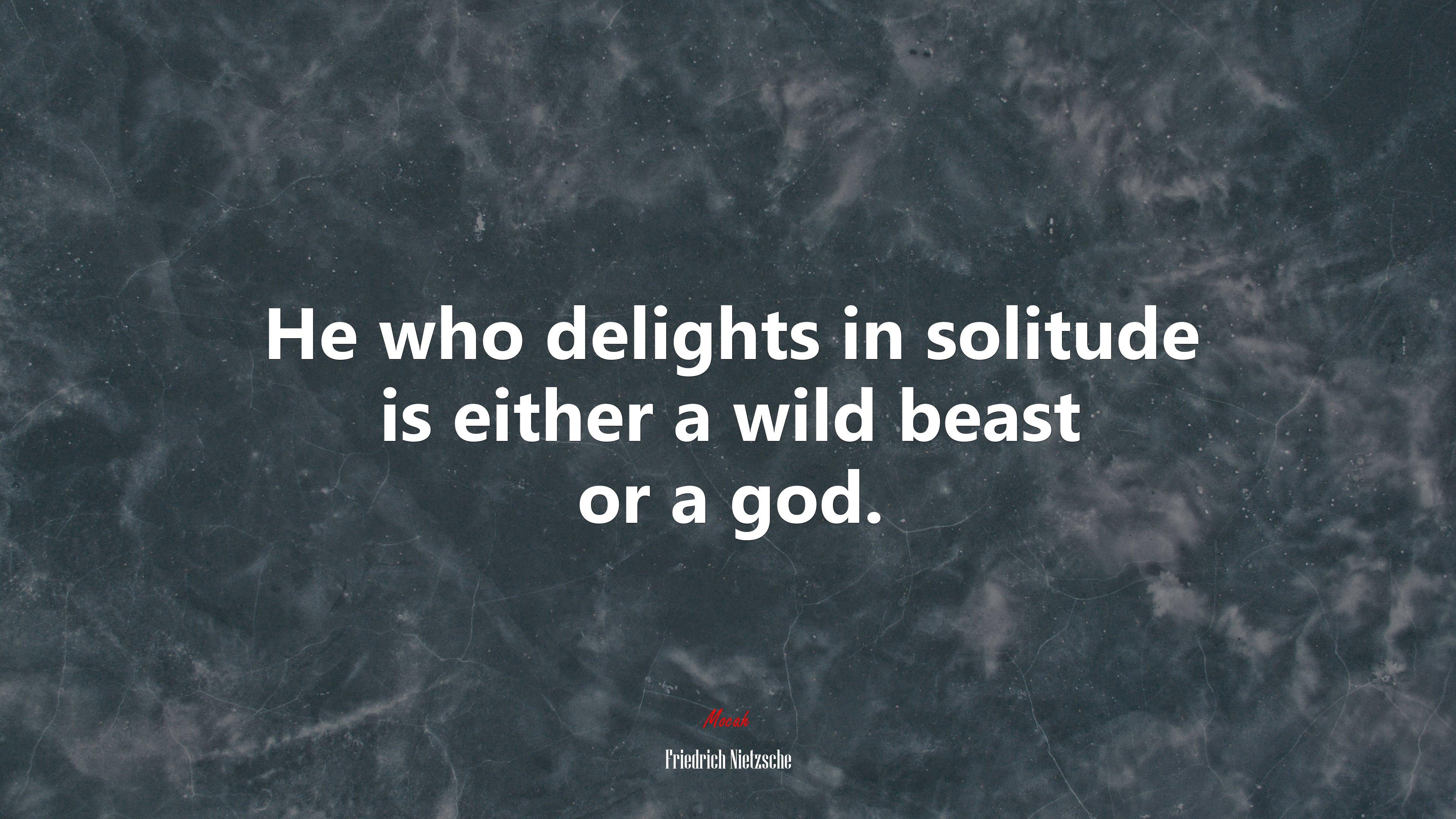 3840x2160 He who delights in solitude is either a wild beast or a god. Friedrich Nietzsche quote Gallery HD Wallpaper
