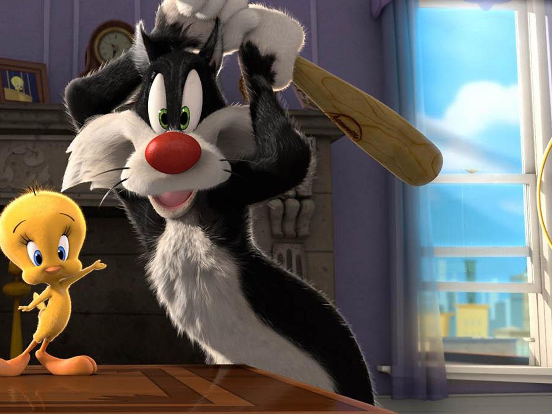 1920x1440 Cartoons Sylvester Cat And Tweety Bird Looney Tunes HD Wallpaper 2560x1440 :
