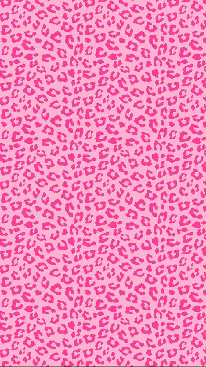 Light Pink Cheetah Print Wallpaper At Qiana Flowers Blog Light Pink Cheetah Print Wallpaper At Qiana Flowers Blog