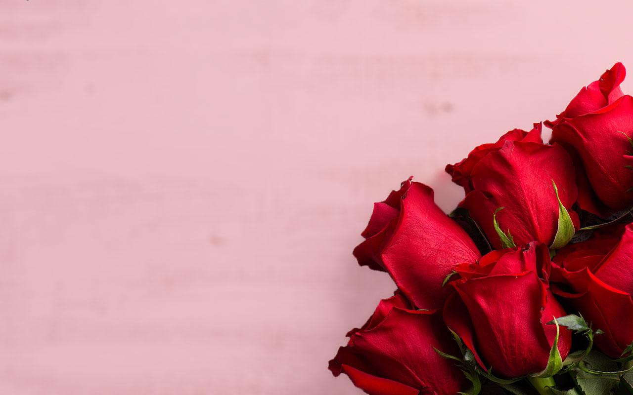 1280x800 Free Valentine's Day Background Image