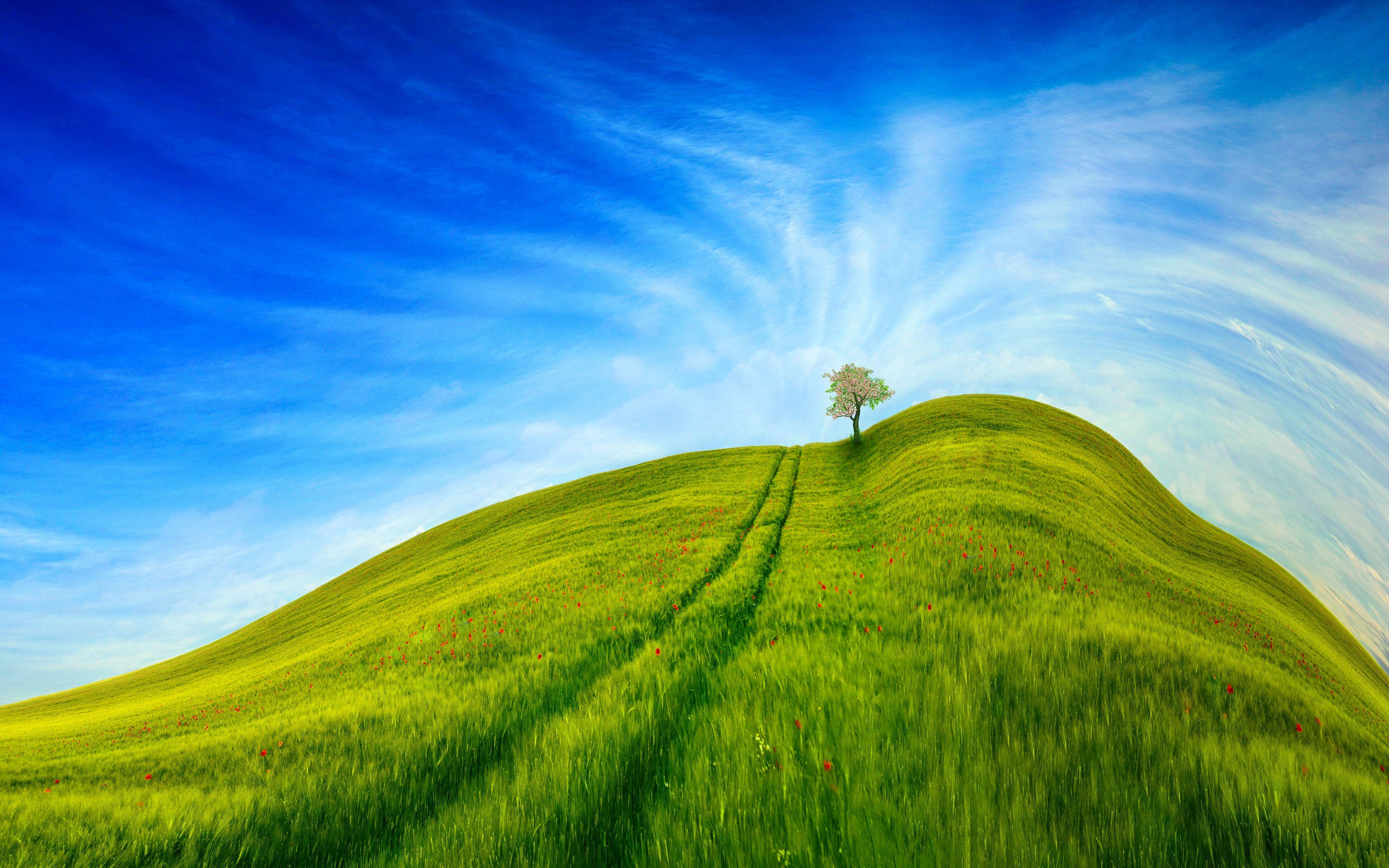 3840x2400 Download wallpaper 3840x2400 hill, grass, tree, sky, road 4k ultra HD 16:10 HD background