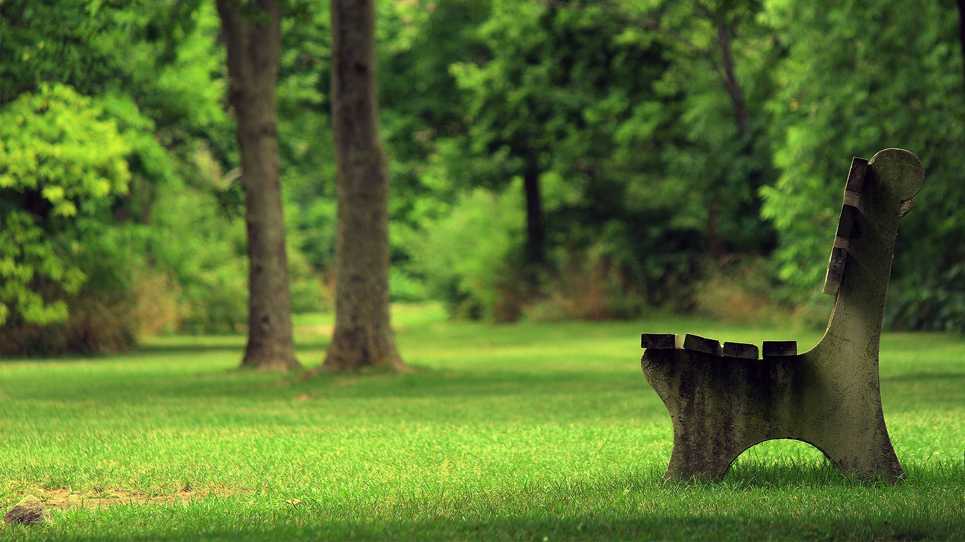 1920x1080 Mind Relaxing Wallpaper