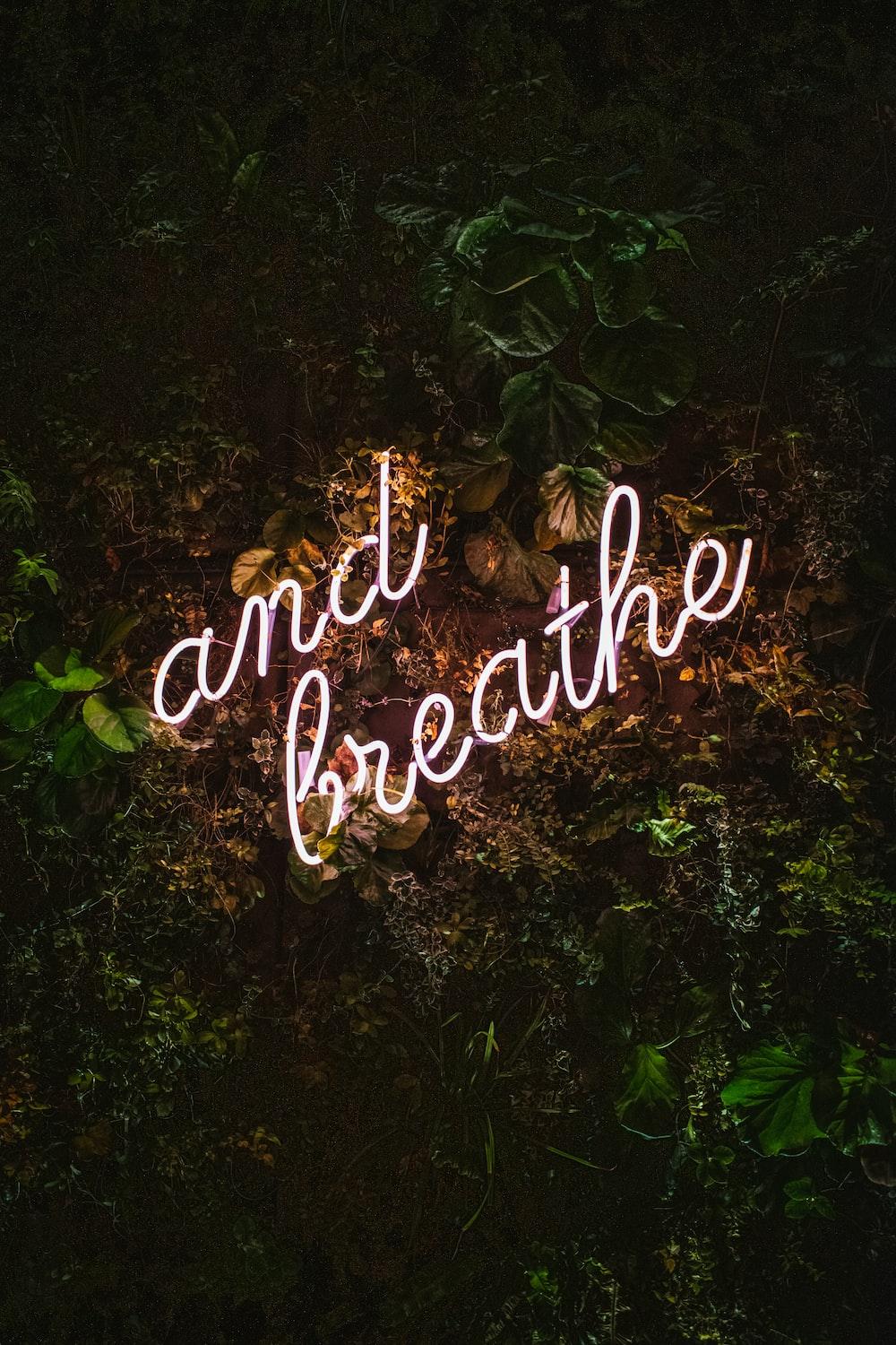 1000x1500 Relax Picture. Download Free Image
