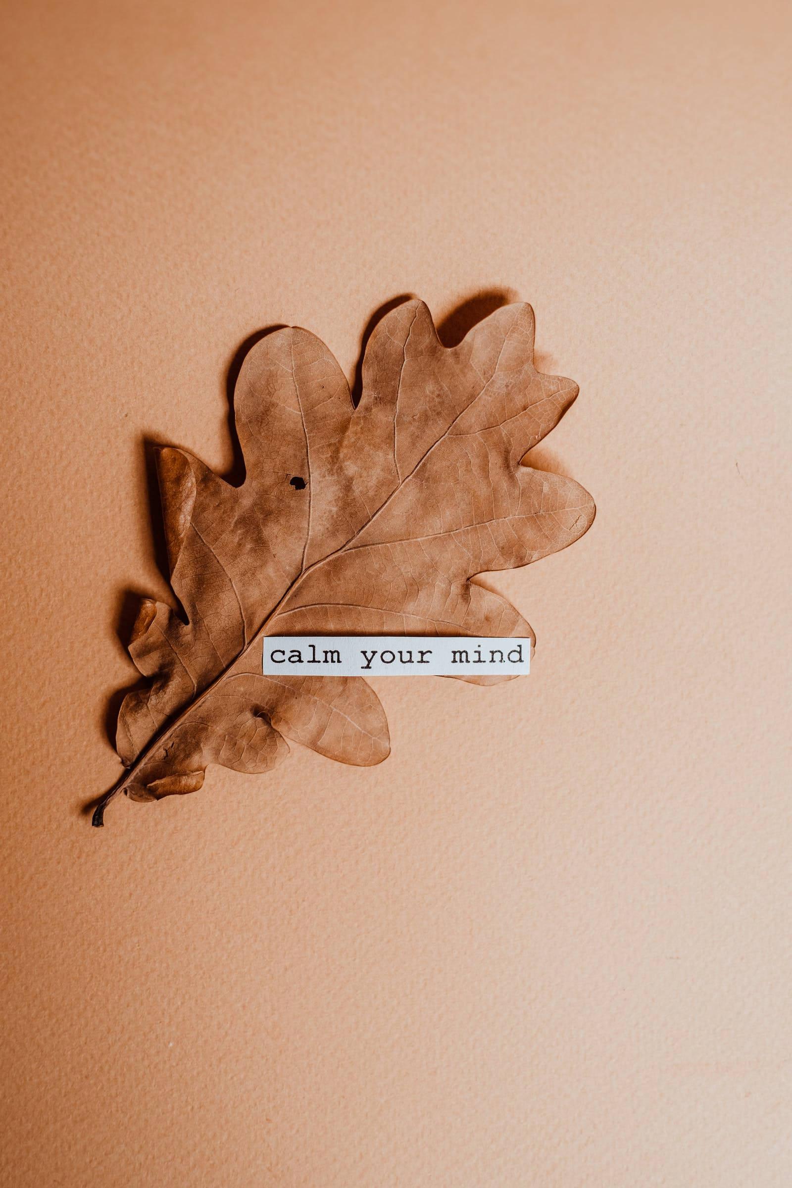 1600x2400 Download Calming Motivational Quote Wallpaper