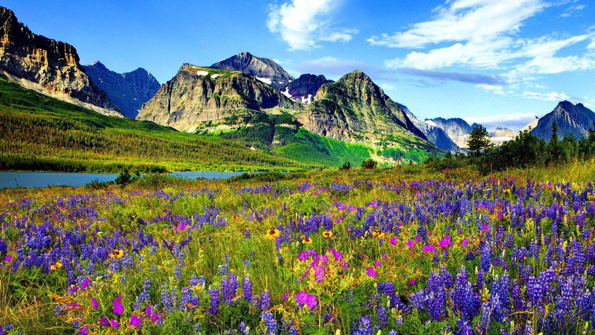 Mountain and Flowers Wallpapers - Top Free Mountain and Flowers ...