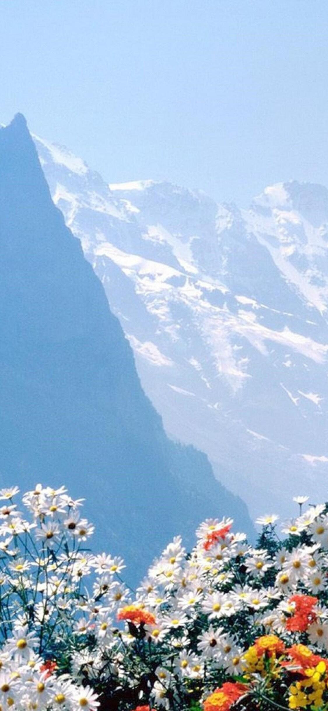 1125x2436 Flowers Mountains Cliff iPhone XS, iPhone iPhone X HD 4k Wallpaper, Image, Background, Photo and Picture