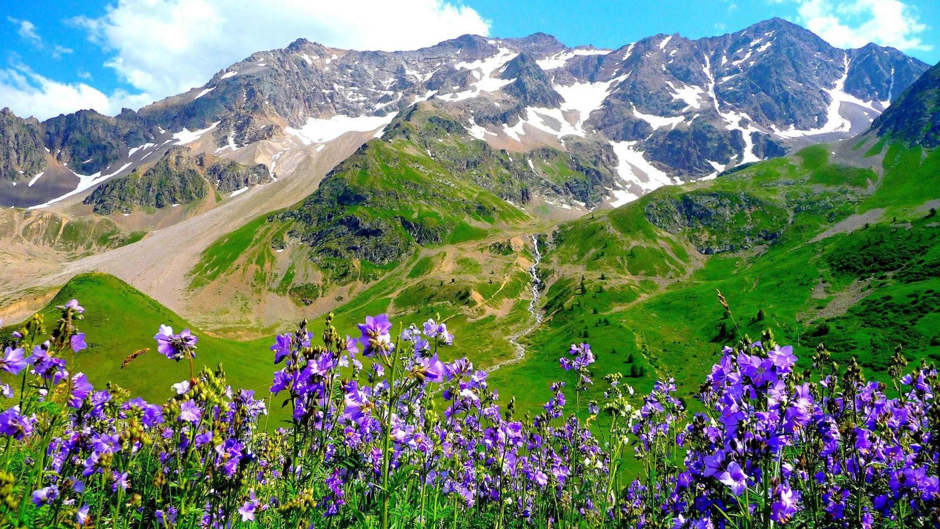 1920x1080 Nature landscape mountain purple flowers wallpaper