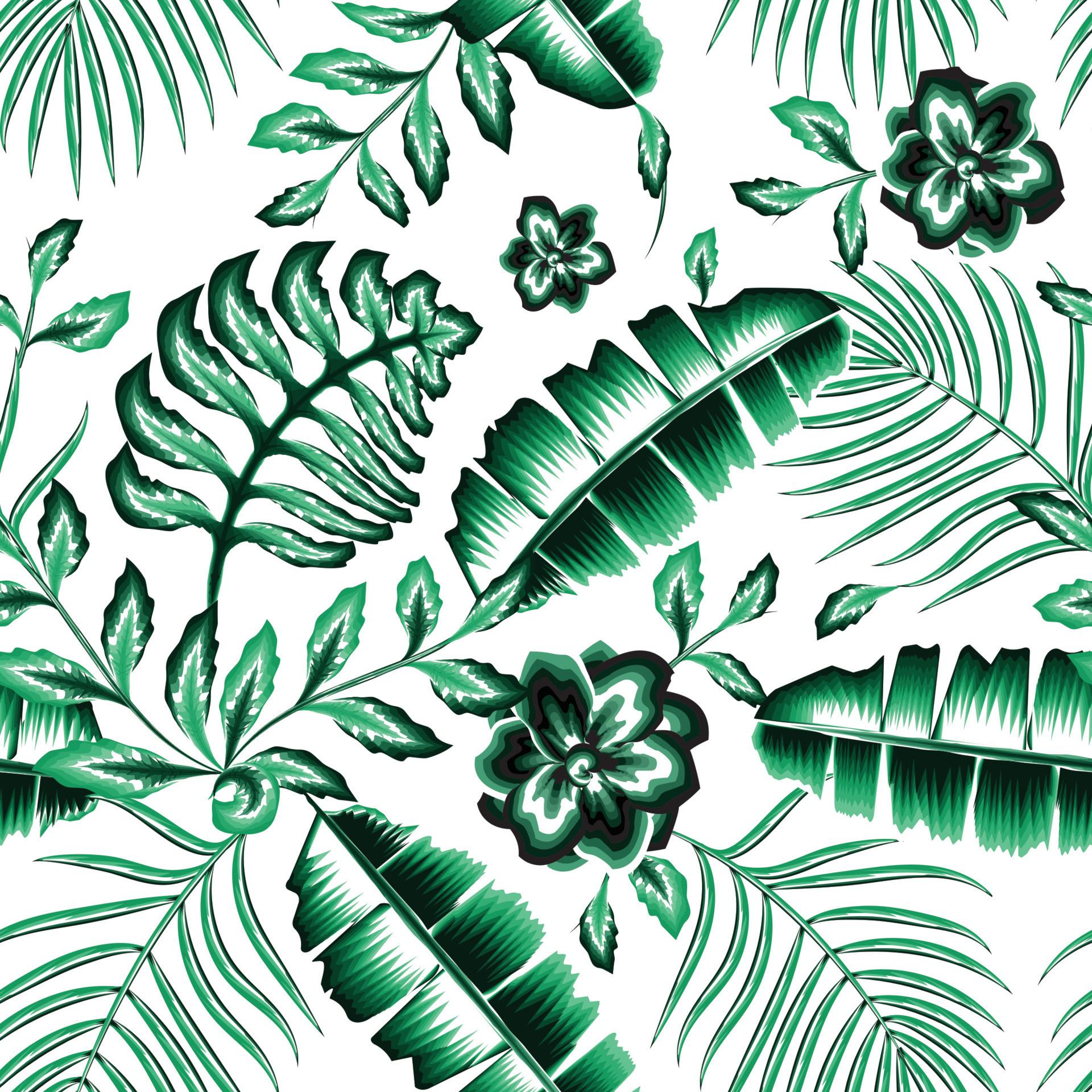 1920x1920 Exotic jungle plants illustration pattern with green abstract banana palm leaves and jasmine flowers plants foliage on white background. Vintage botanical exotic illustration wallpaper. Summer design