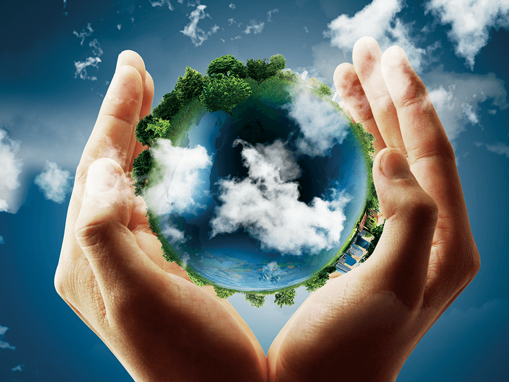 1024x768 Common Misconceptions About Sustainability.