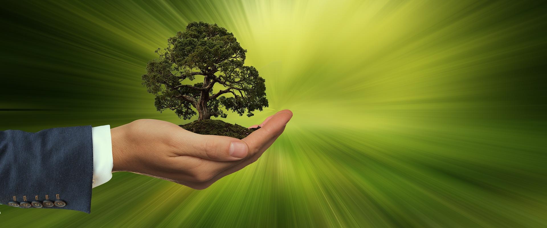 1920x800 What Is Sustainability In Business, and Why Is It Important?