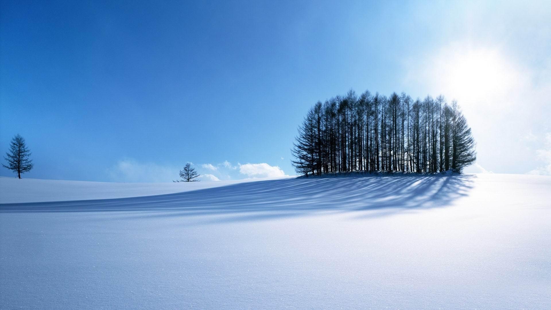 1920x1080 Winter Scenery Natural Landscape HD Wallpaper