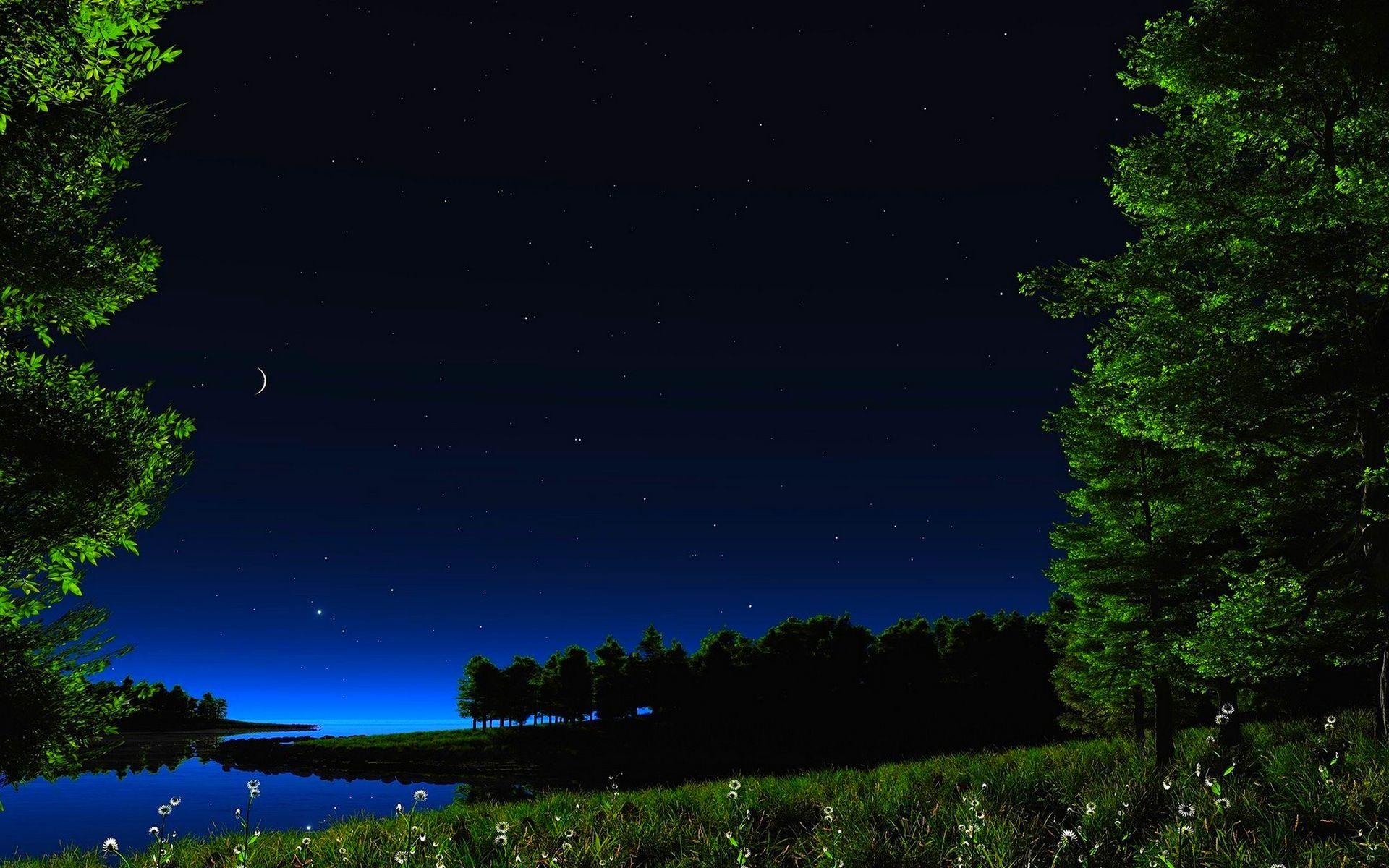 1920x1200 free HD starry night wallpaper for desktop download high definiton