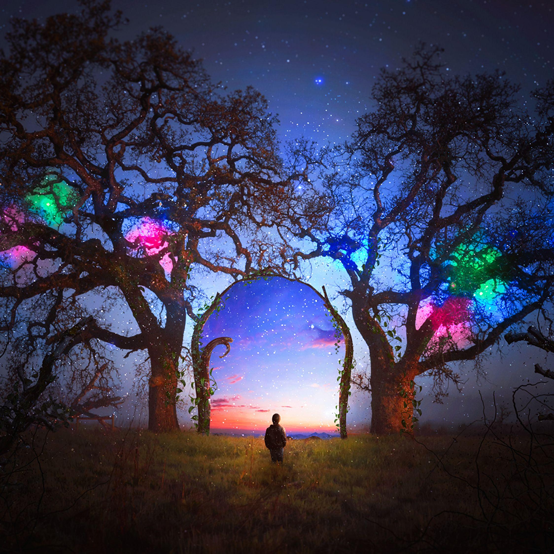 2248x2248 Download 2248x2248 wallpaper colorful, silhouette, arch, starry sky