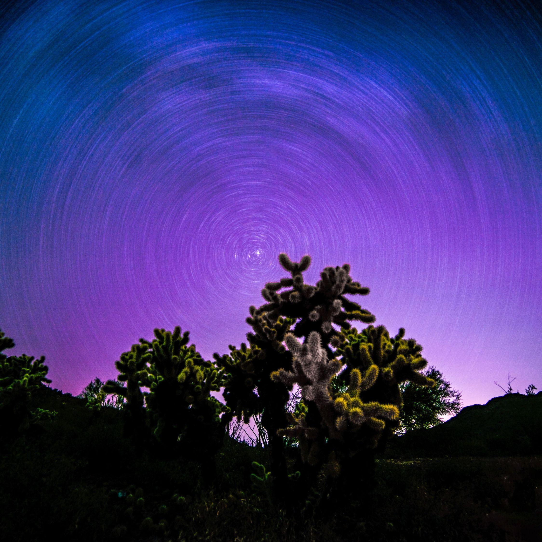 2248x2248 Download 2248x2248 wallpaper landscape, starry sky, colorful, tree