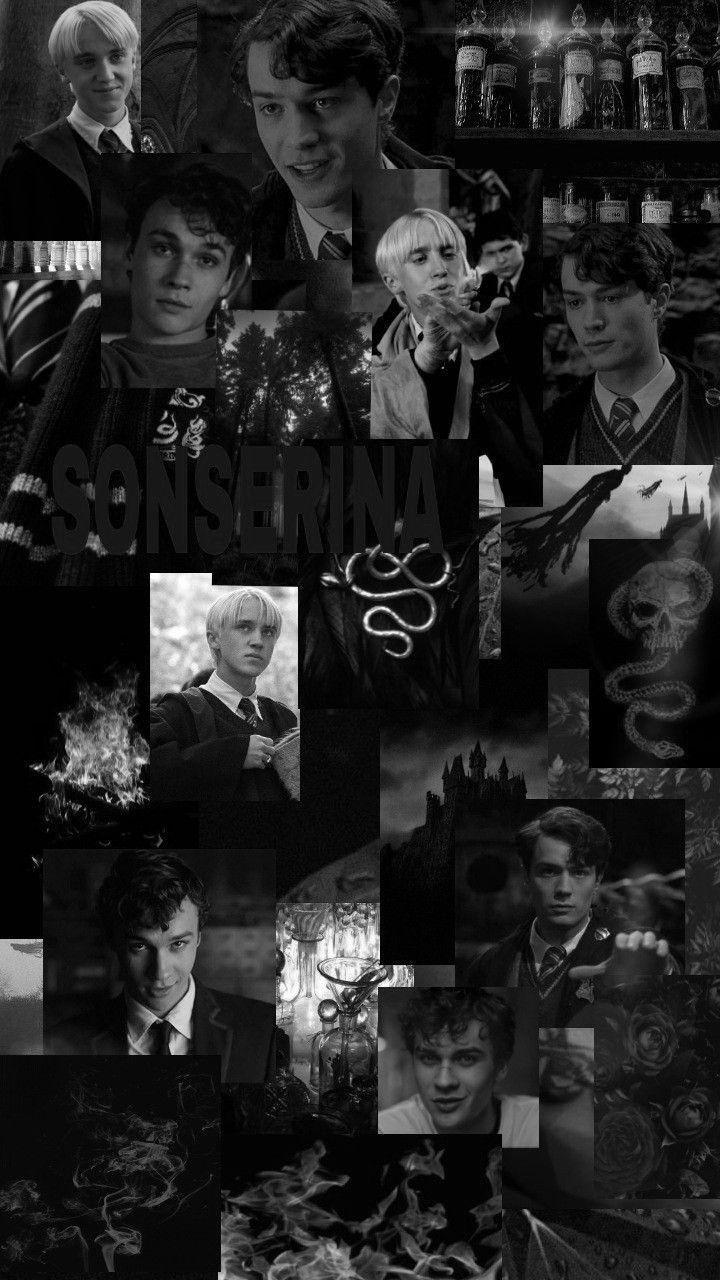 Slytherin Wallpaper  Fandom