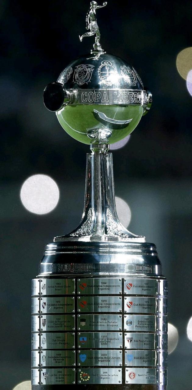 630x1280 Copa Libertadores wallpaper