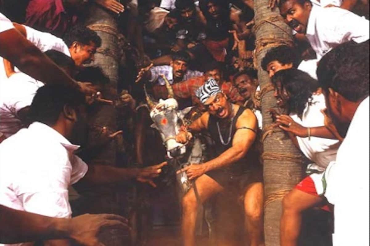 1200x800 How Kamal Haasan's Virumandi Depicted Jallikattu On Screen: The Ancient Sport As A Metaphor Entertainment News, Firstpost