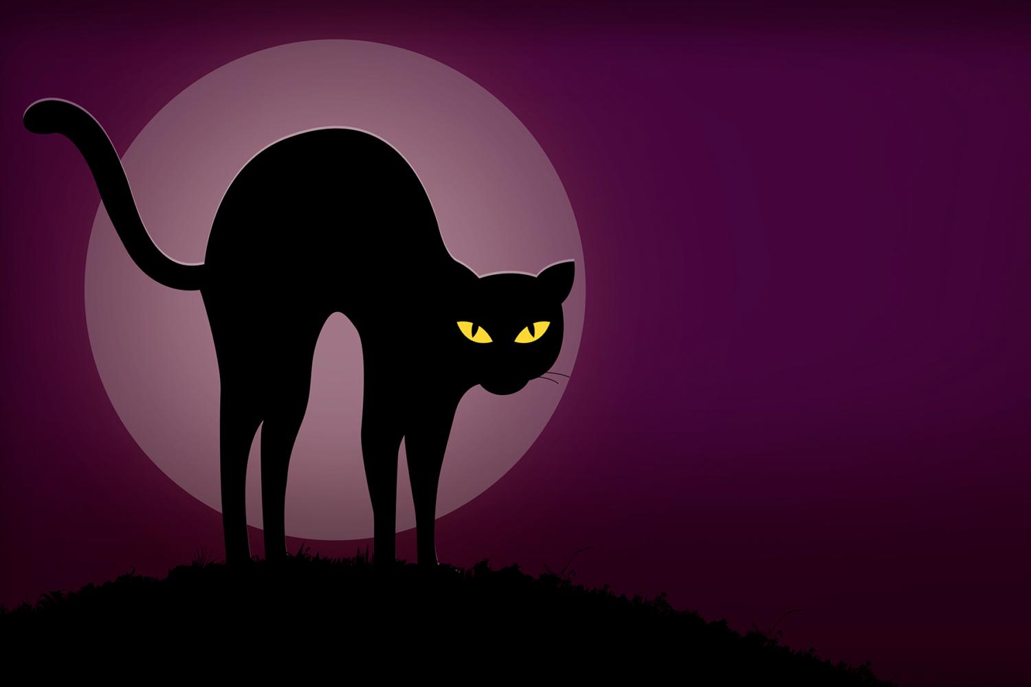 1500x1000 Halloween Photo Background. Rock The House