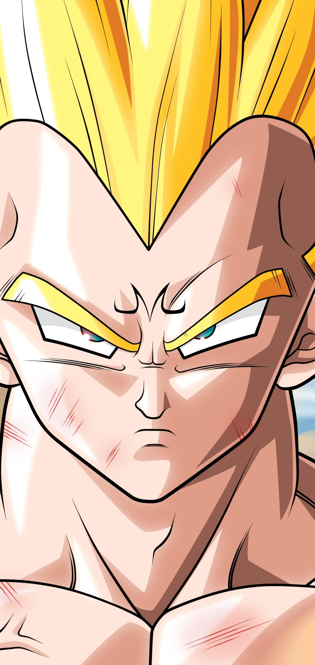 1080x2280 Wallpaper / Anime Dragon Ball Z Phone Wallpaper, Vegeta (Dragon Ball), 1080x2280 free download