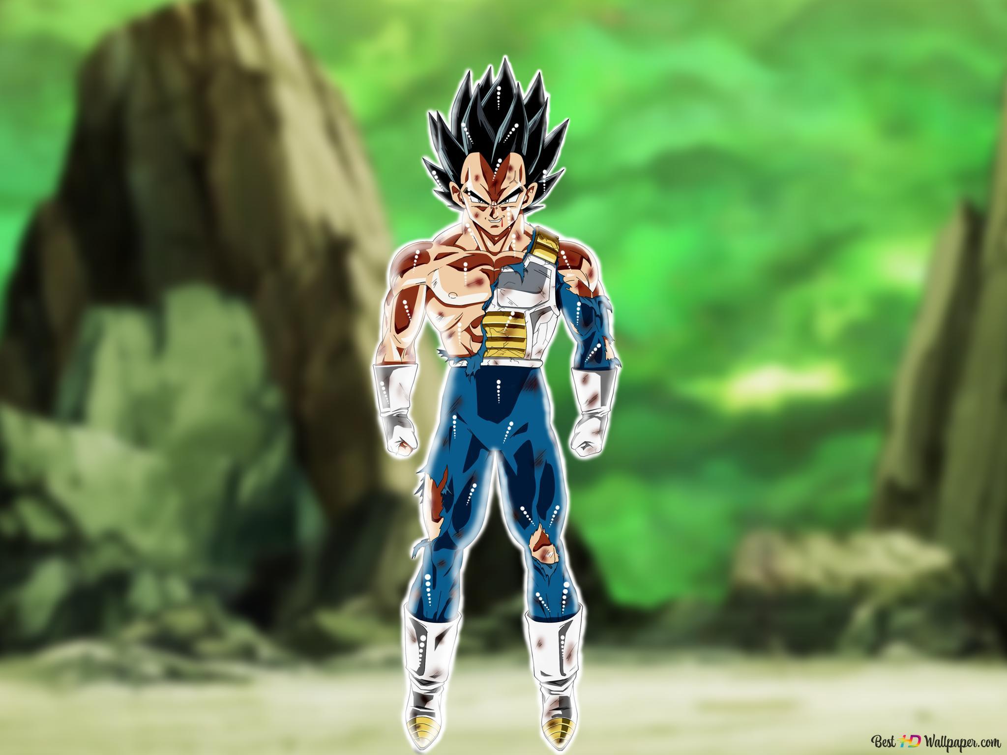 2048x1536 Dragon ball super vegeta 4K wallpaper download