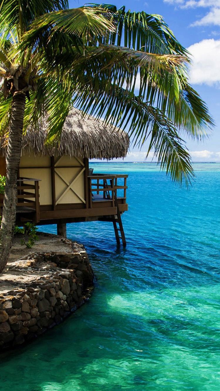 750x1334 Maldives beach scenery Free Download Wallpaper for Phone