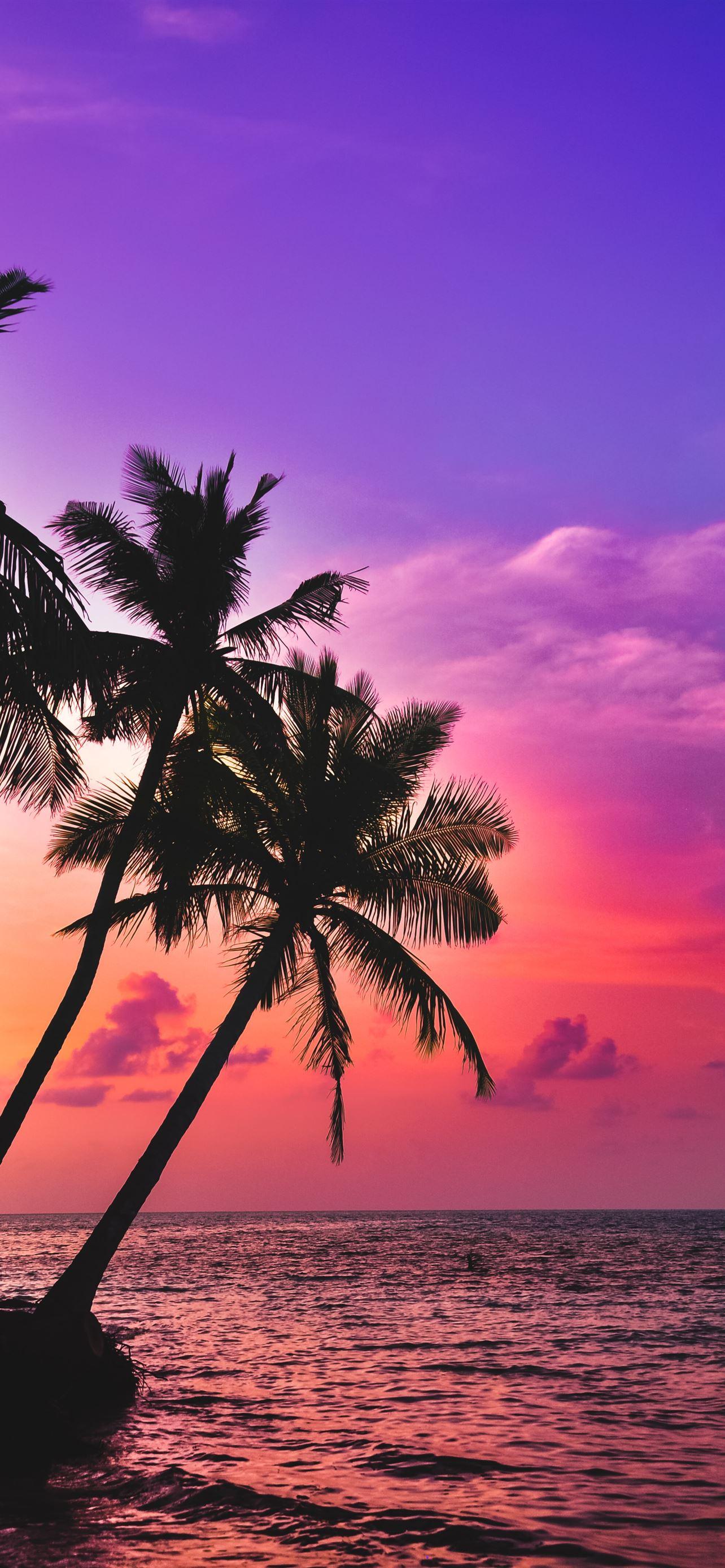 1284x2778 Maldives iPhone 12 Wallpaper Free Download