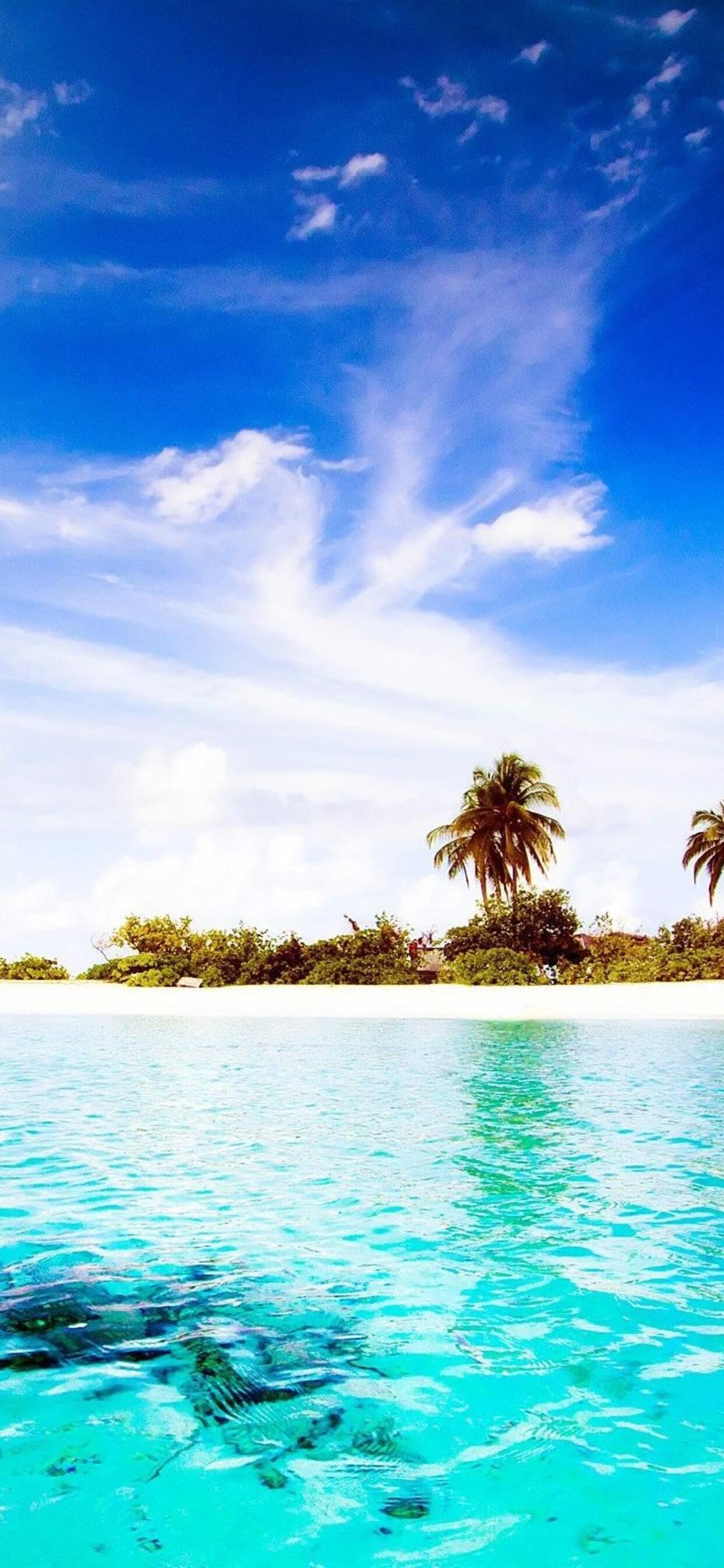 1242x2688 Maldives Diggiri Island iPhone XS MAX HD 4k Wallpaper, Image, Background, Photo and Picture