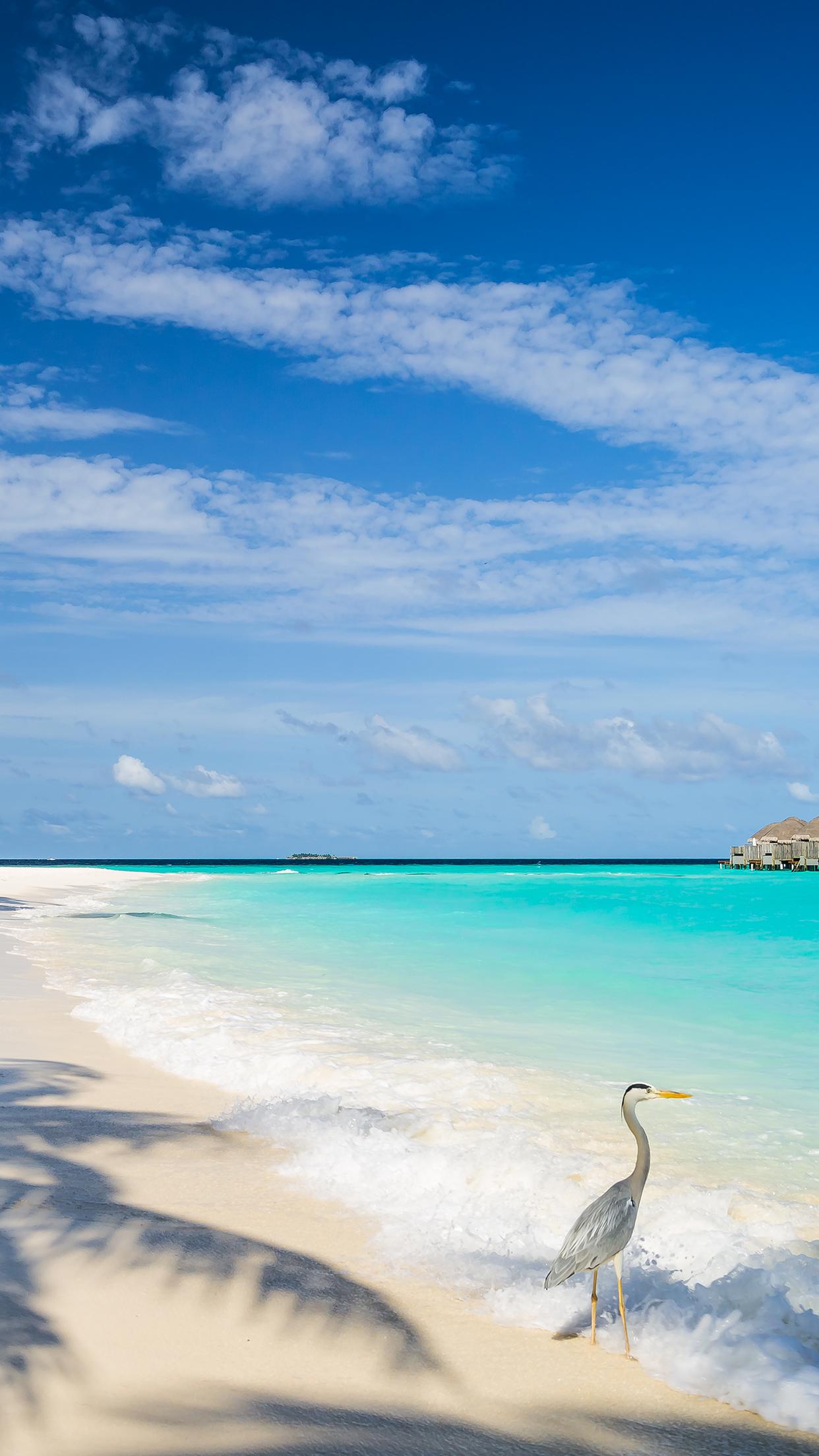 1242x2208 Maldives Beach Wallpaper for iPhone Pro Max, X, 6