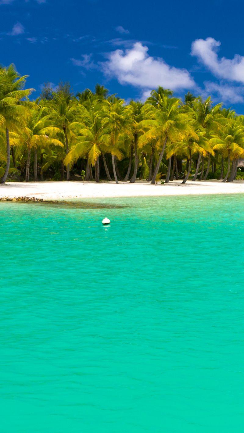 800x1420 Download Wallpaper 800x1420 Summer, Maldives, Tropical, Beach, Palm Trees Iphone Se 5s 5c 5 For Parallax HD Background