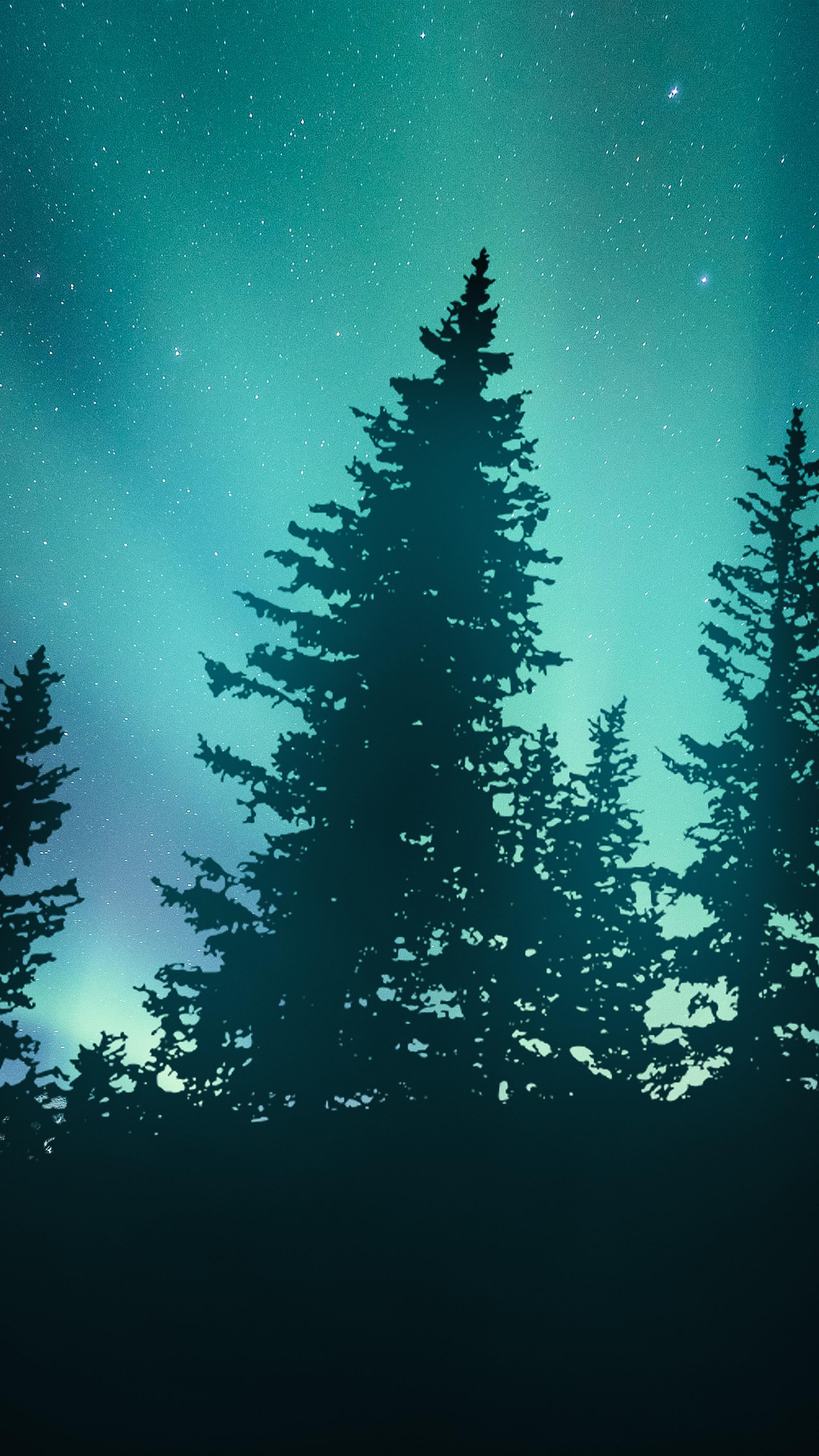 2000x3555 Silhouette Northern Light Mobile HD Wallpaper