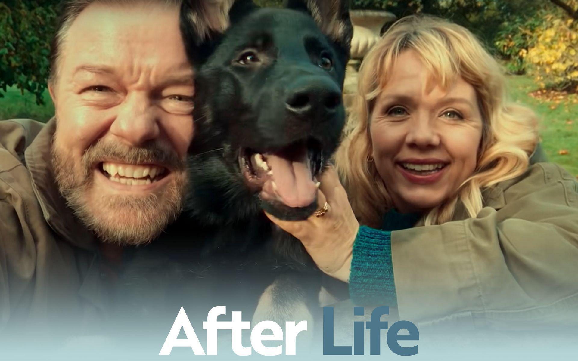 1920x1200 After Life' Season 3 reasons not to miss the final season