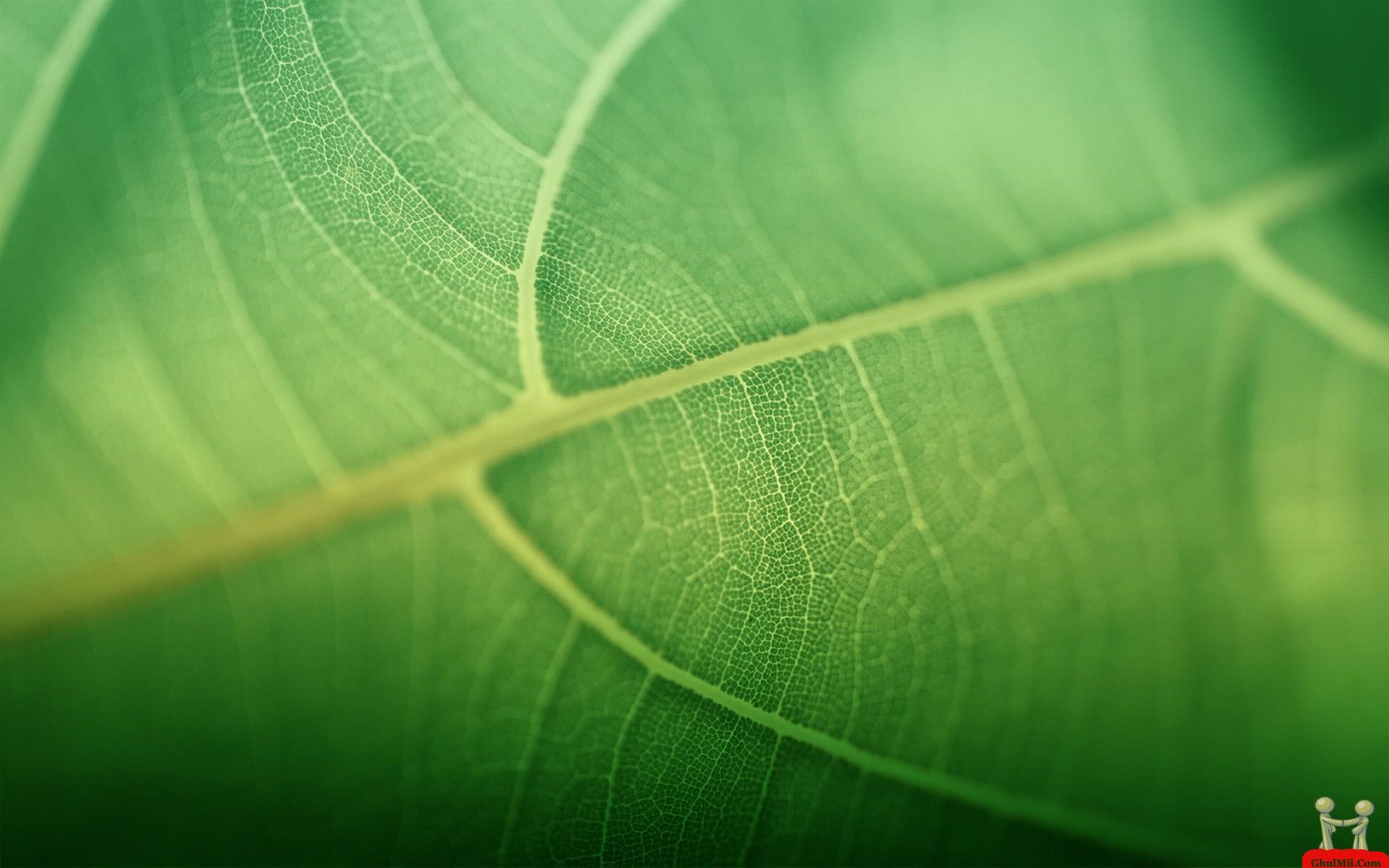 1920x1200 Excel Background