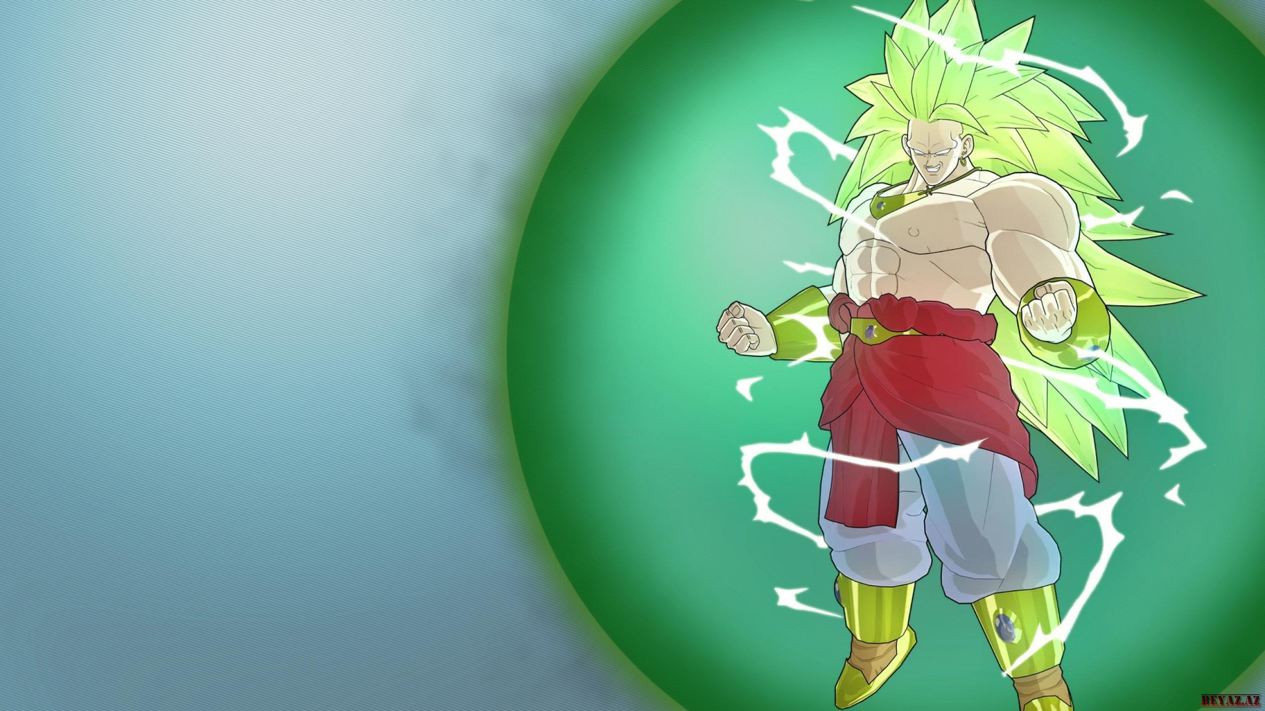 2560x1440 Dragon Ball Z Broly Wallpaper Picture
