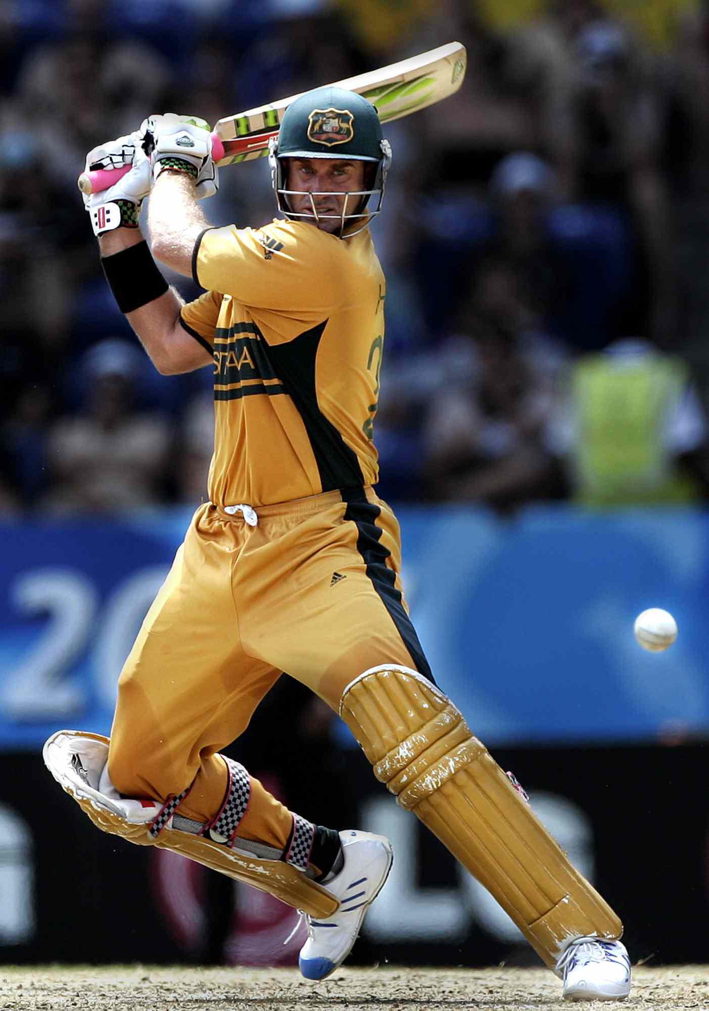 Matthew Hayden Wallpapers Top Free Matthew Hayden Backgrounds