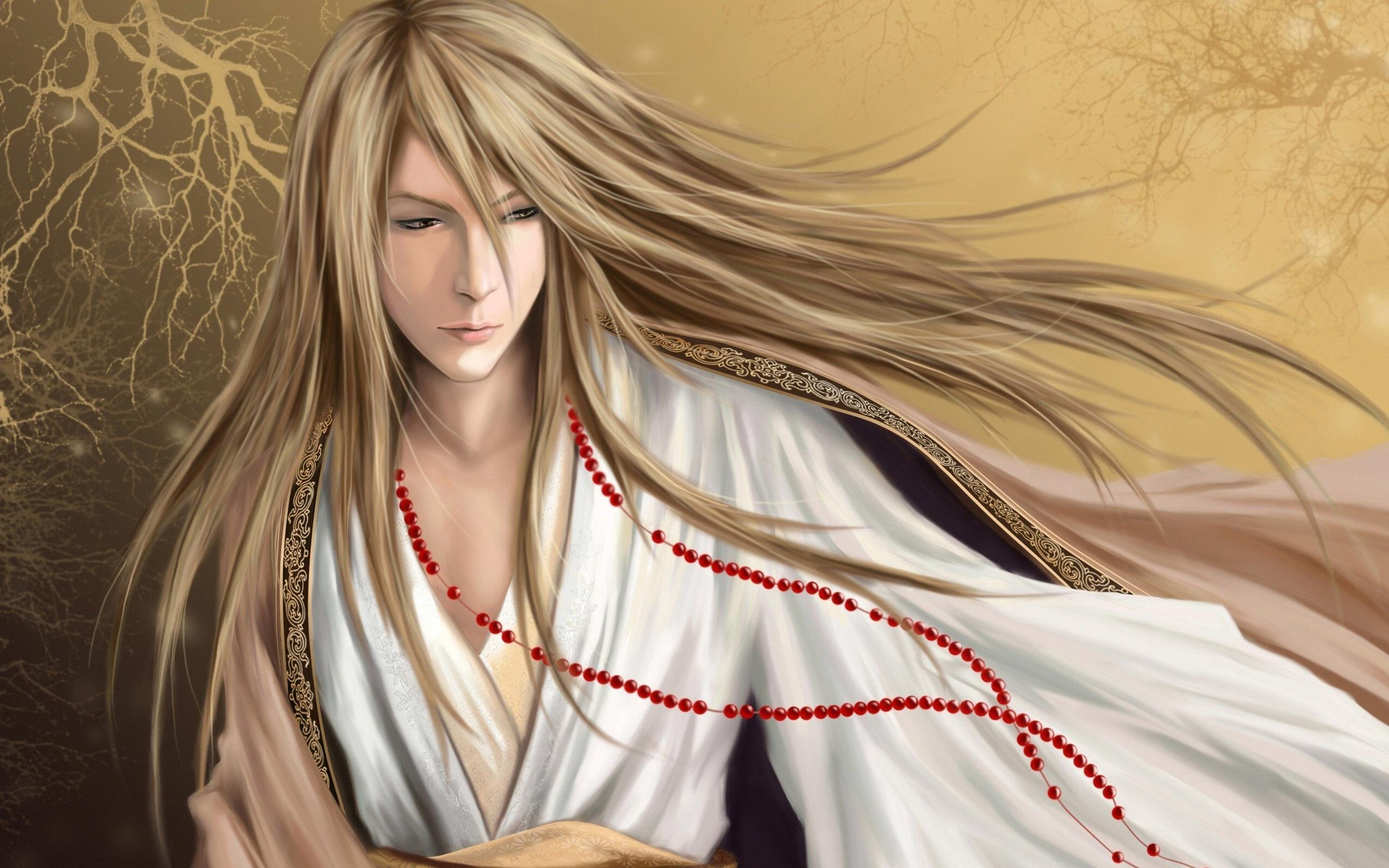 2560x1600 Long Hair Men Anime HD Wallpaper