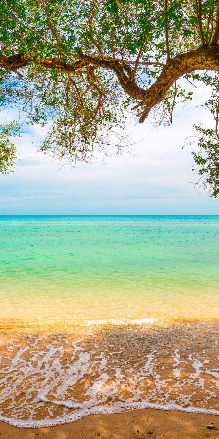 736x1472 Soft waves, beach, sunny day, green sea wallpaper