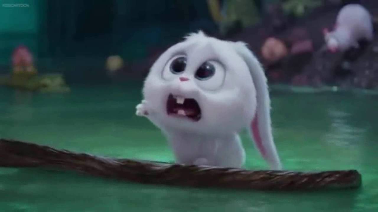 1280x720 Free download Secret Life Of Pets Snowball Sad 1280x720 Wallpaper teahubio [1280x720] for your Desktop, Mobile & Tablet. Explore Secret Life Of Pets Desktop Wallpaper. Secret World of Arrietty