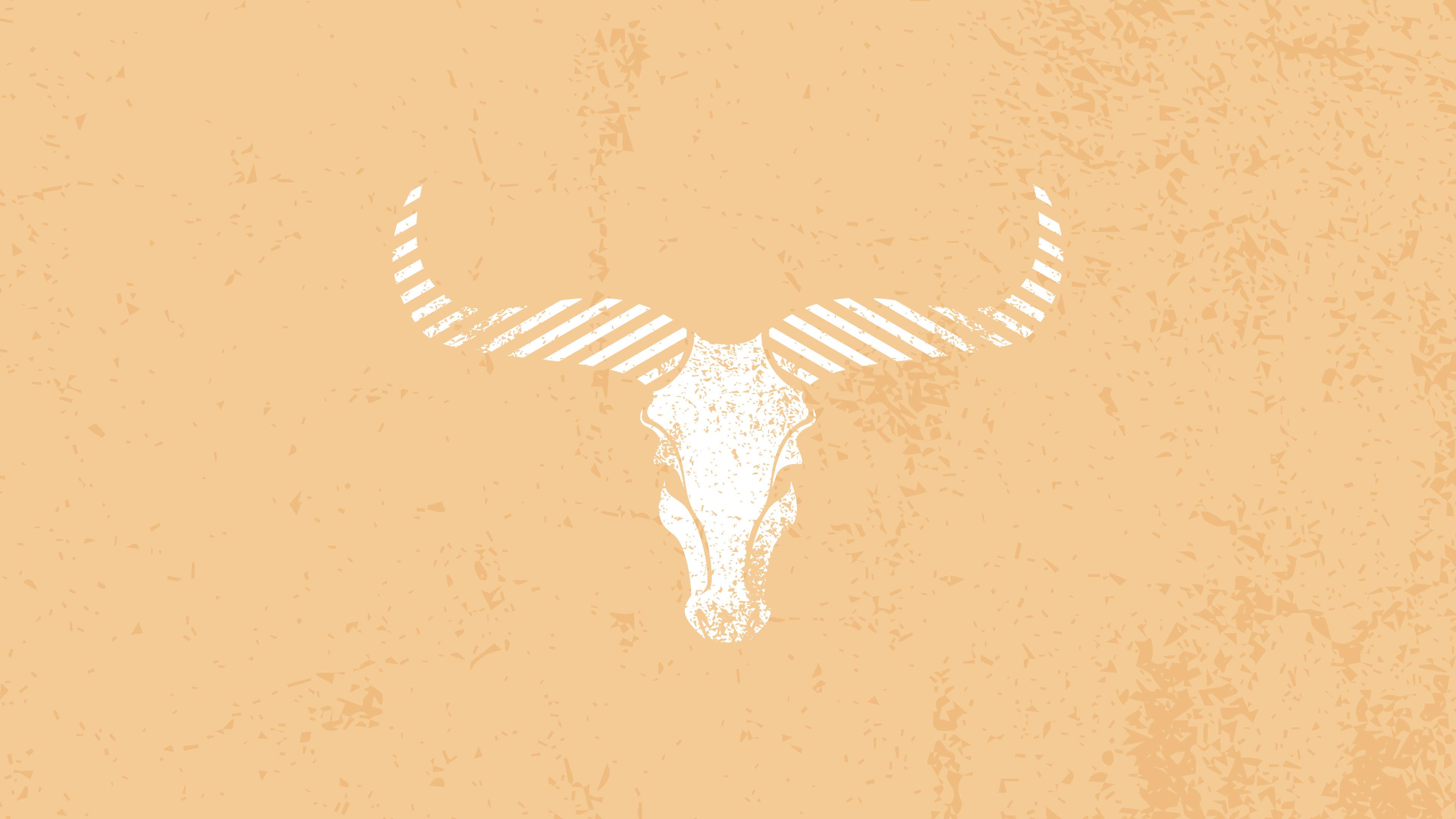 3840x2160 Download Minimalist Western Bull Aesthetic Wallpaper