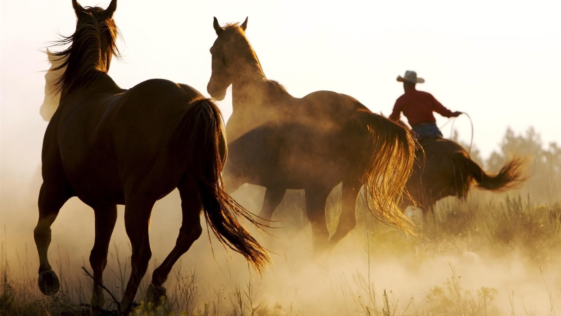 1920x1080 Western Desktop Wallpaper